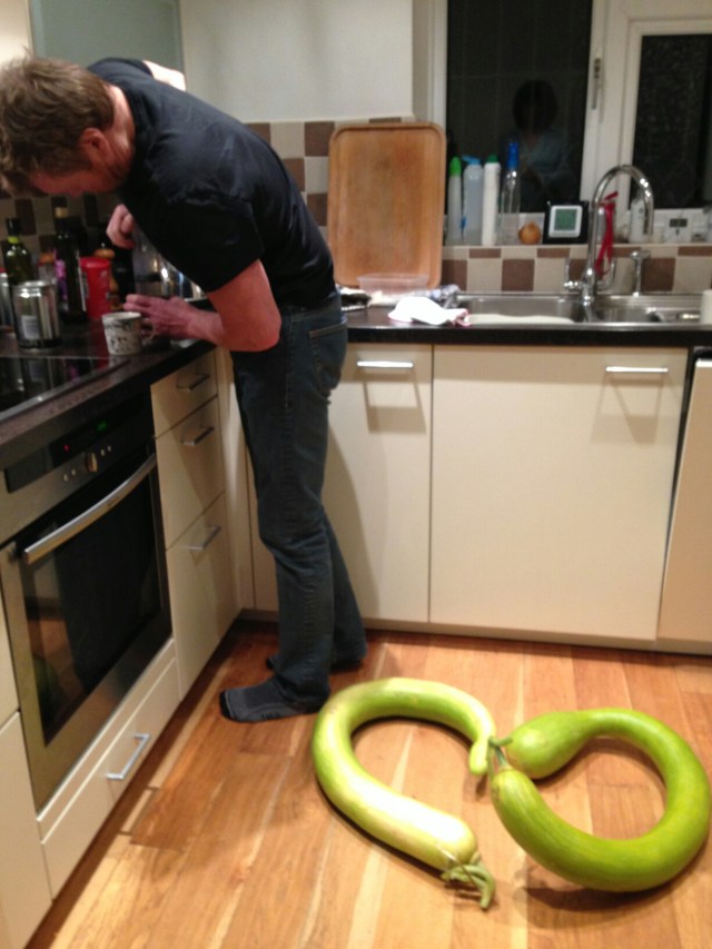 wp-1445792620984 image