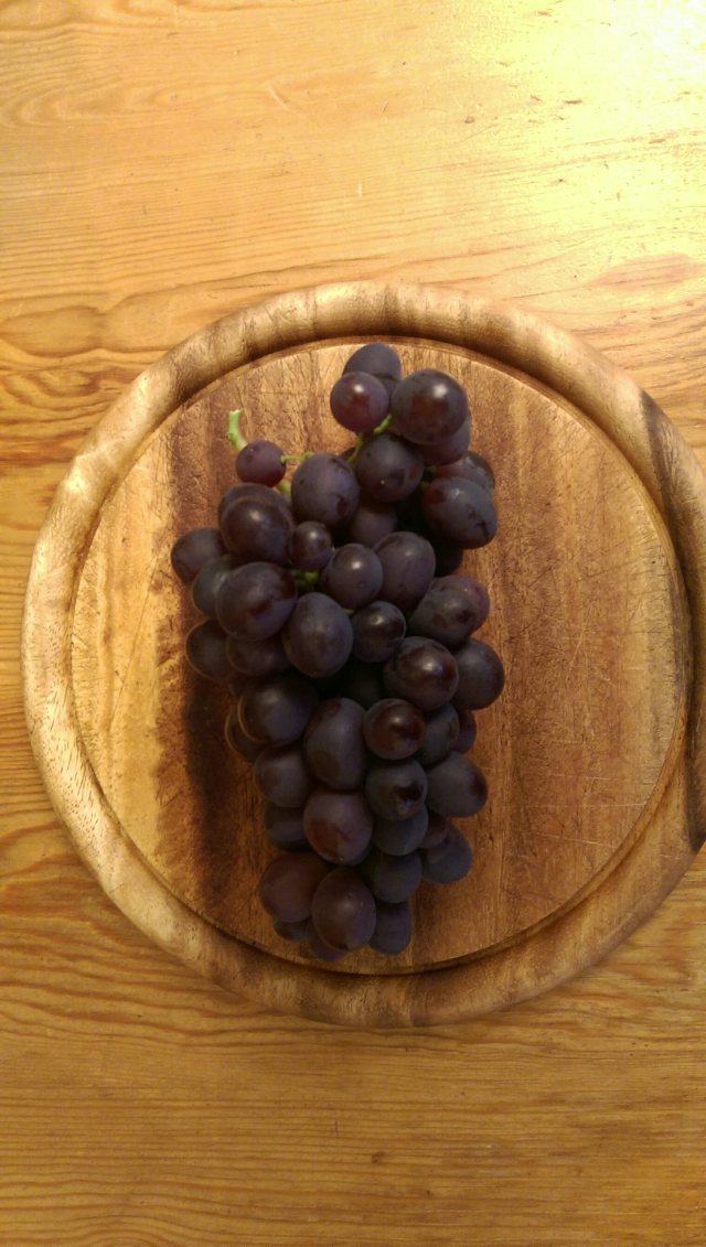 wp-1445800954136 image